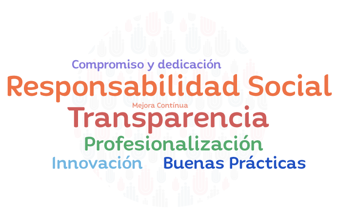 Valores: responsabilidad social, transparencia, profesionalización, buenas prácticas, innovación, mejora contínua, compromiso y dedicación