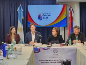 Héctor Decut expone el Informe de Gestión. Destacó el compromiso del IPLyC con la economía y el bienestar social de Misiones.